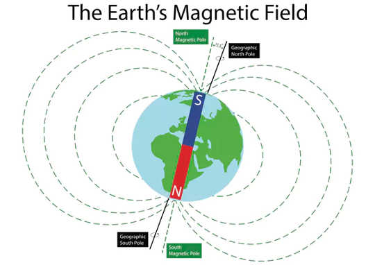 Life on Earth is exposed to the planet’s ever-present geomagnetic field (do you have a magnetic compass in your head?)