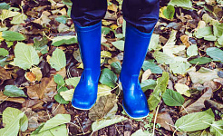picture of child's feet wearing blue rubber boots with leaves on the ground